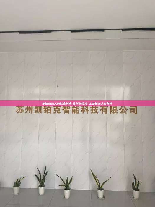那智机器人调试宣城市,苏州凯铂克-工业机器人服务商 那智机器人调试宣城市 第1张 那智机器人调试宣城市,苏州凯铂克-工业机器人服务商 那智机器人调试宣城市 第1张