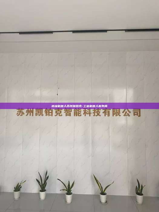 码垛机器人苏州凯铂克-工业机器人服务商  码垛机器人 第1张