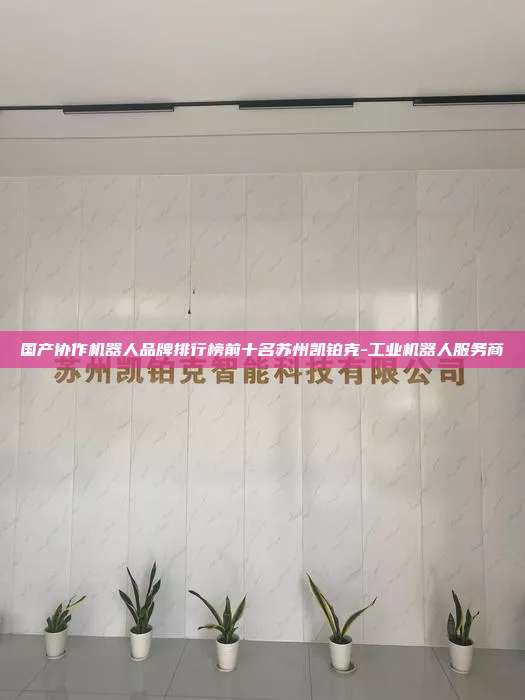 国产协作机器人品牌排行榜前十名苏州凯铂克-工业机器人服务商  国产协作机器人品牌排行榜前十名 第1张