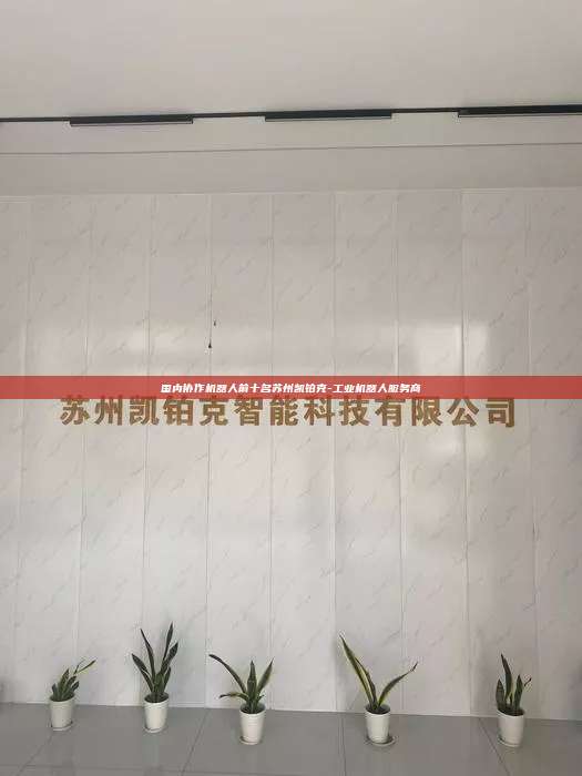 国内协作机器人前十名苏州凯铂克-工业机器人服务商 国内协作机器人前十名 第1张 国内协作机器人前十名苏州凯铂克-工业机器人服务商 国内协作机器人前十名 第1张
