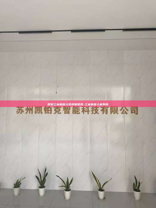 微型工业机器人苏州凯铂克-工业机器人服务商  微型工业机器人 第1张