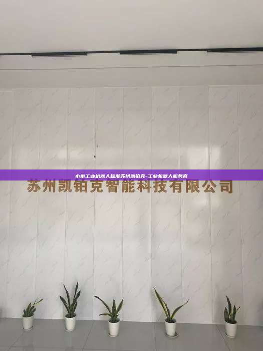 小型工业机器人标准苏州凯铂克-工业机器人服务商  小型工业机器人标准 第1张