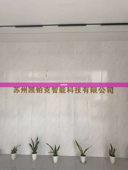 GP12  第1张