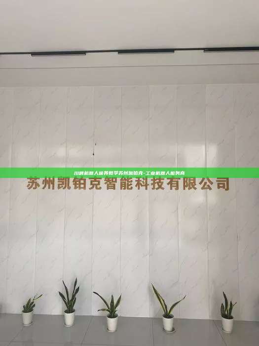 川崎机器人保养教学苏州凯铂克-工业机器人服务商  川崎机器人保养教学 第1张
